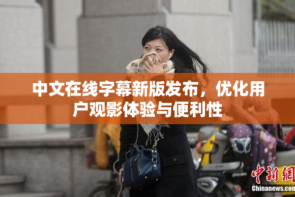 中文在线字幕新版发布，优化用户观影体验与便利性