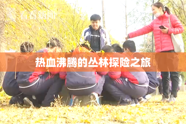 热血沸腾的丛林探险之旅