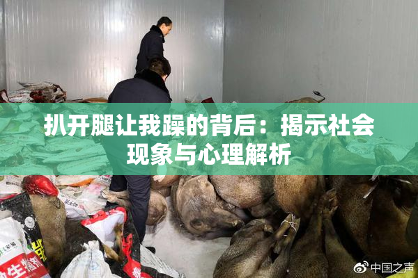 扒开腿让我躁的背后：揭示社会现象与心理解析