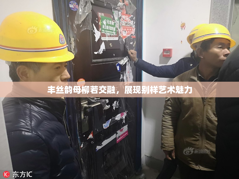丰丝韵母柳若交融，展现别样艺术魅力