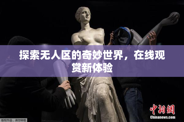 探索无人区的奇妙世界，在线观赏新体验