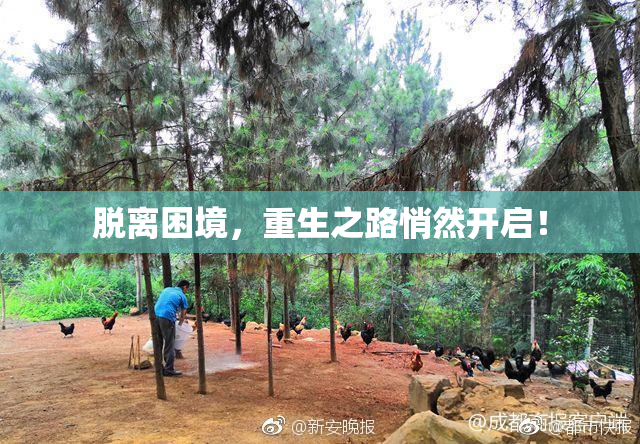 脱离困境，重生之路悄然开启！