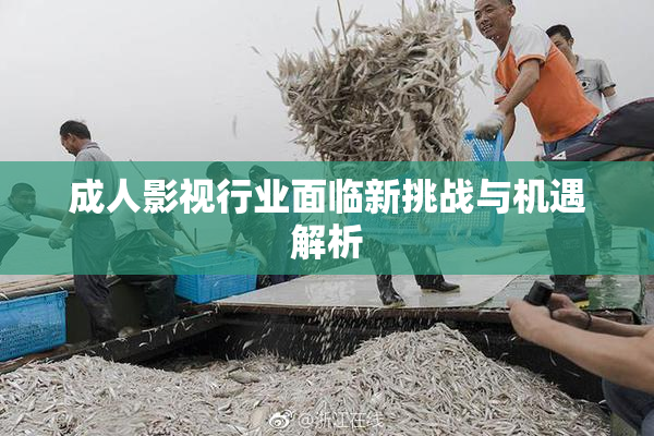 成人影视行业面临新挑战与机遇解析
