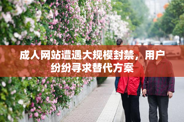 成人网站遭遇大规模封禁，用户纷纷寻求替代方案