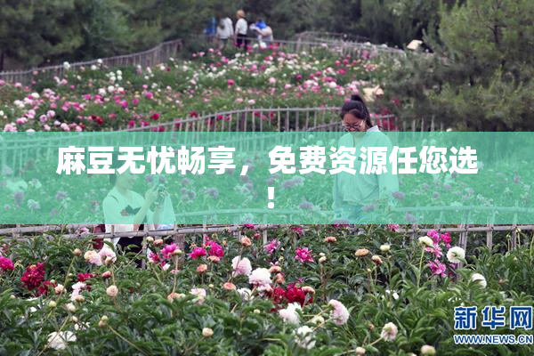 麻豆无忧畅享，免费资源任您选！