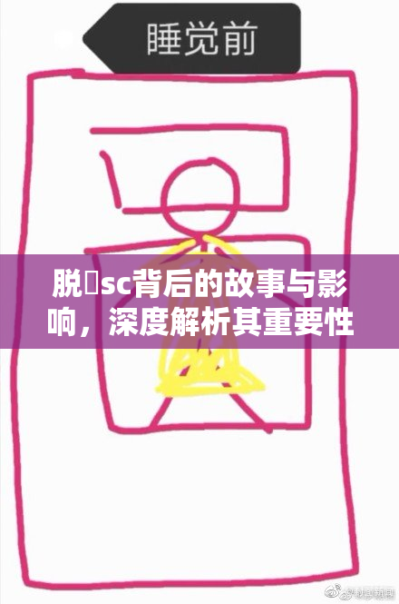 脱糞sc背后的故事与影响，深度解析其重要性
