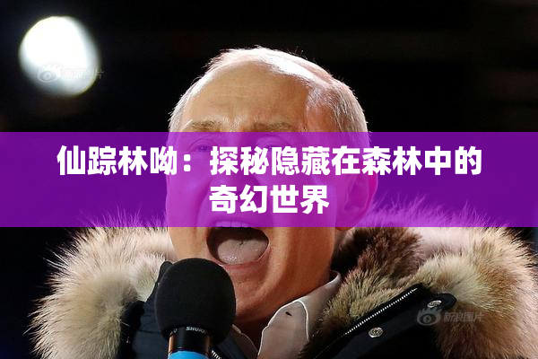 仙踪林呦：探秘隐藏在森林中的奇幻世界