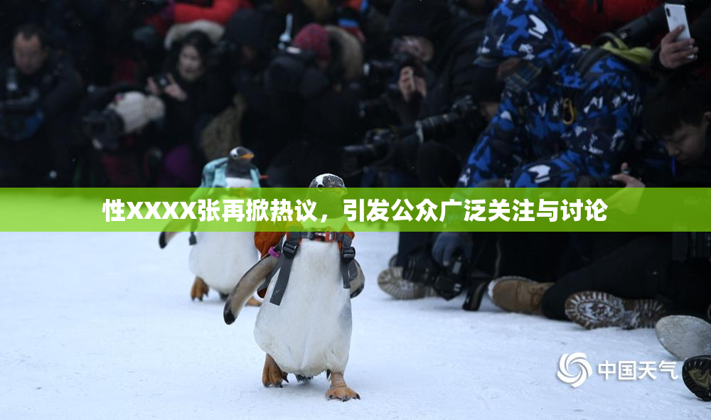 性XXXX张再掀热议，引发公众广泛关注与讨论