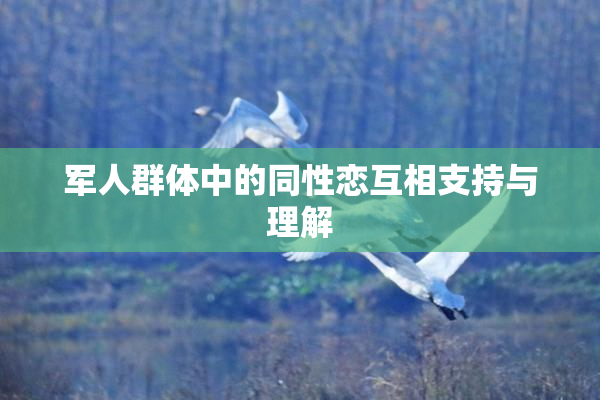 军人群体中的同性恋互相支持与理解