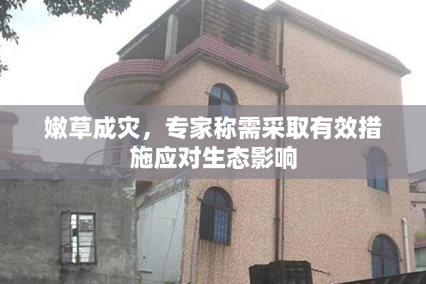 嫩草成灾，专家称需采取有效措施应对生态影响