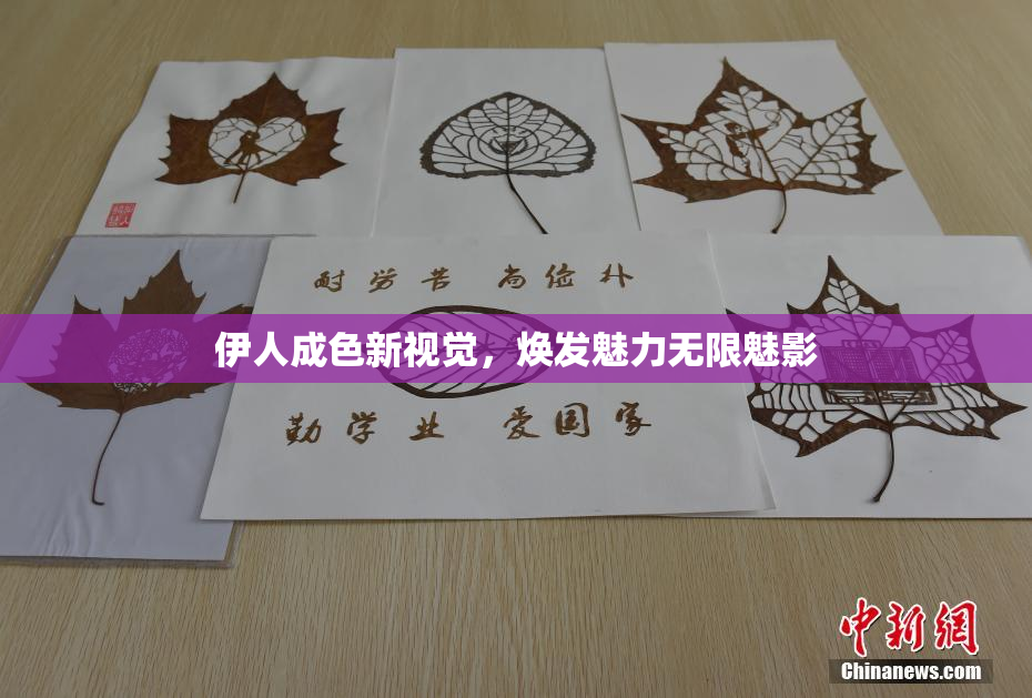 伊人成色新视觉，焕发魅力无限魅影