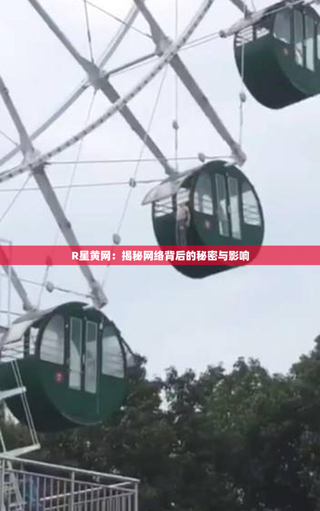 R星黄网：揭秘网络背后的秘密与影响