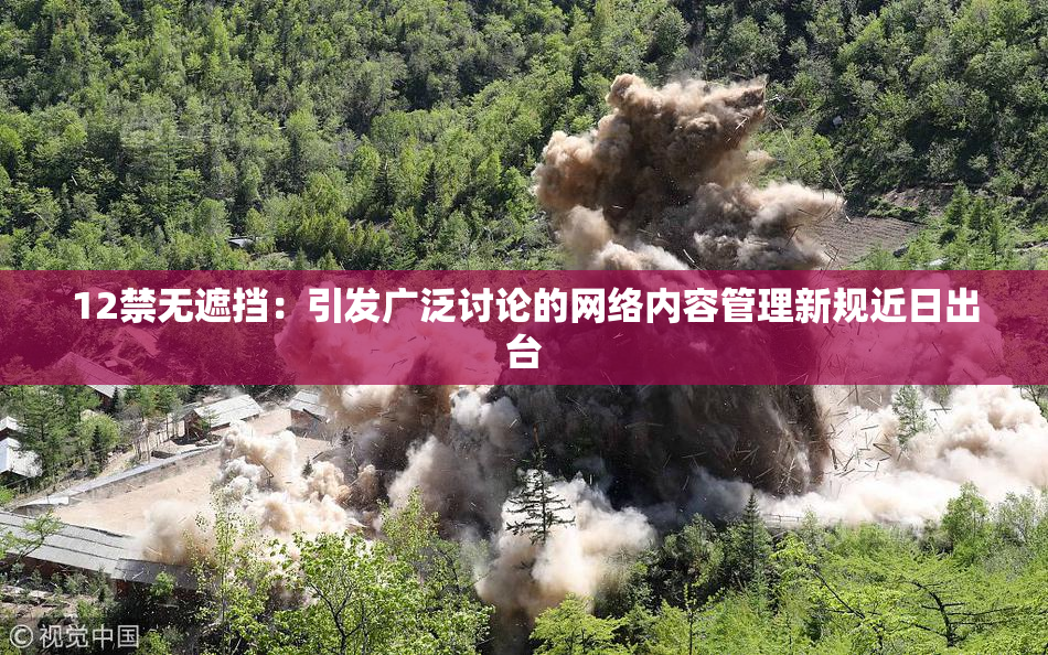 12禁无遮挡：引发广泛讨论的网络内容管理新规近日出台