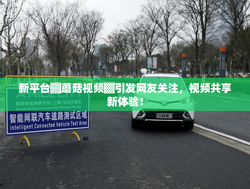 新平台▓蘑菇视频▓引发网友关注，视频共享新体验！