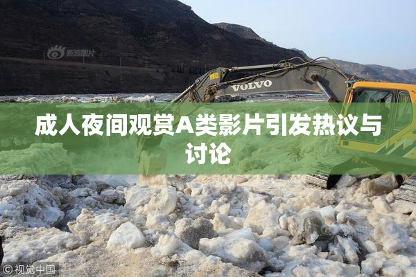 成人夜间观赏A类影片引发热议与讨论