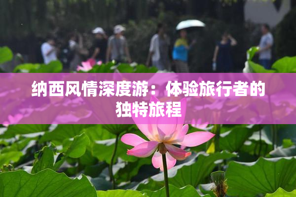 纳西风情深度游：体验旅行者的独特旅程