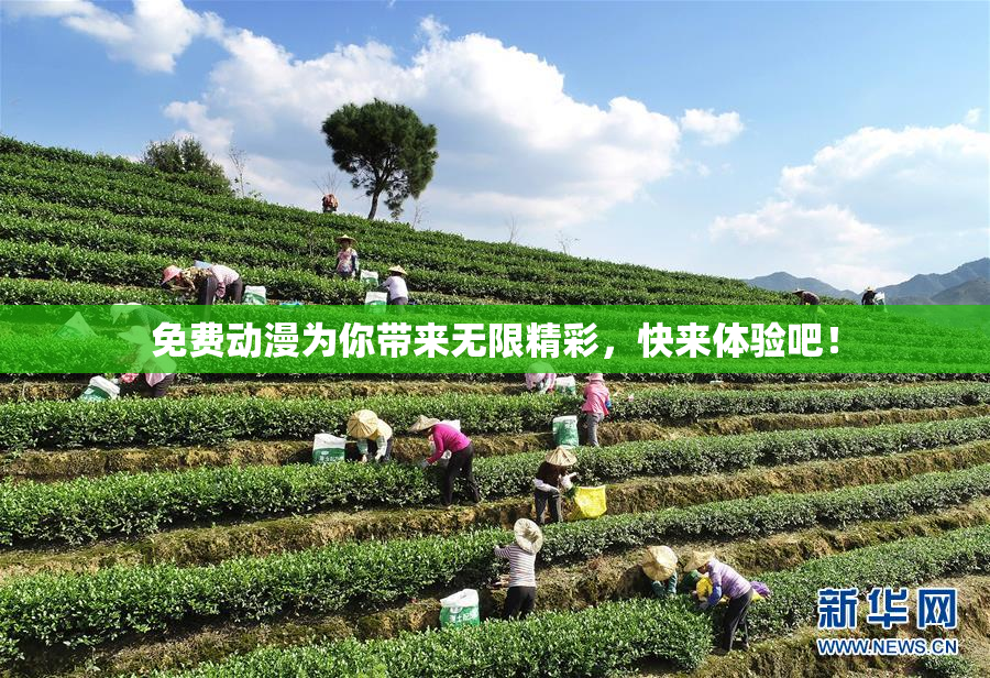 免费动漫为你带来无限精彩，快来体验吧！