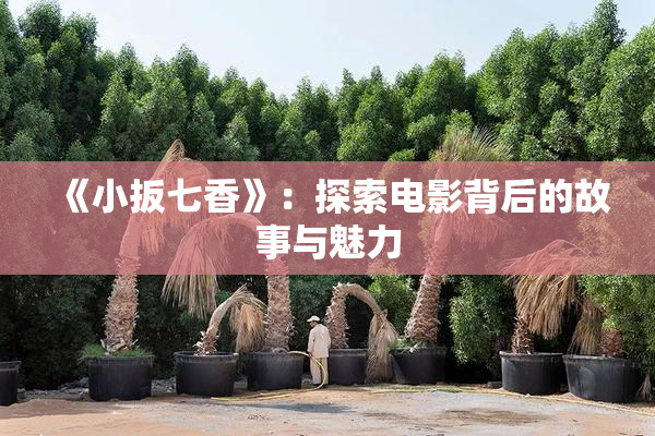 《小扳七香》：探索电影背后的故事与魅力