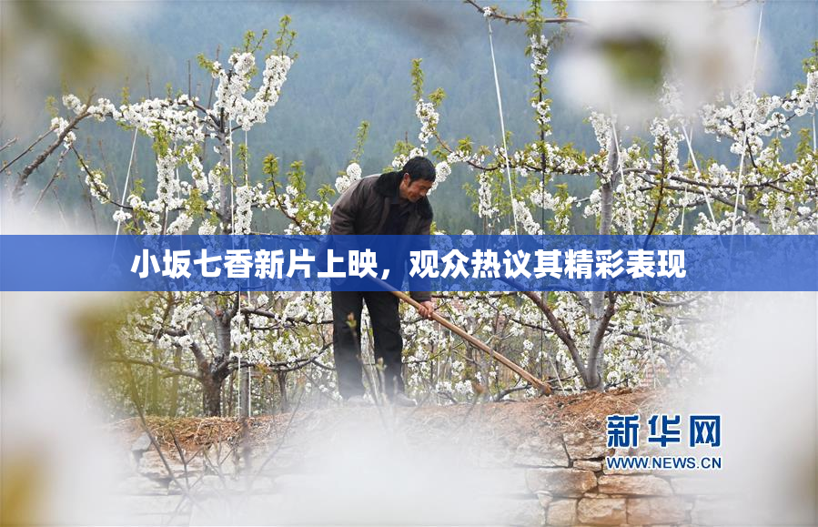 小坂七香新片上映，观众热议其精彩表现