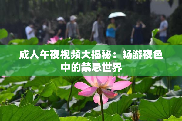 成人午夜视频大揭秘：畅游夜色中的禁忌世界