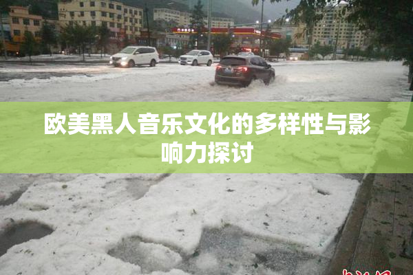 欧美黑人音乐文化的多样性与影响力探讨