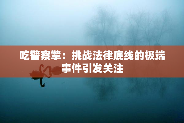 吃警察擎：挑战法律底线的极端事件引发关注