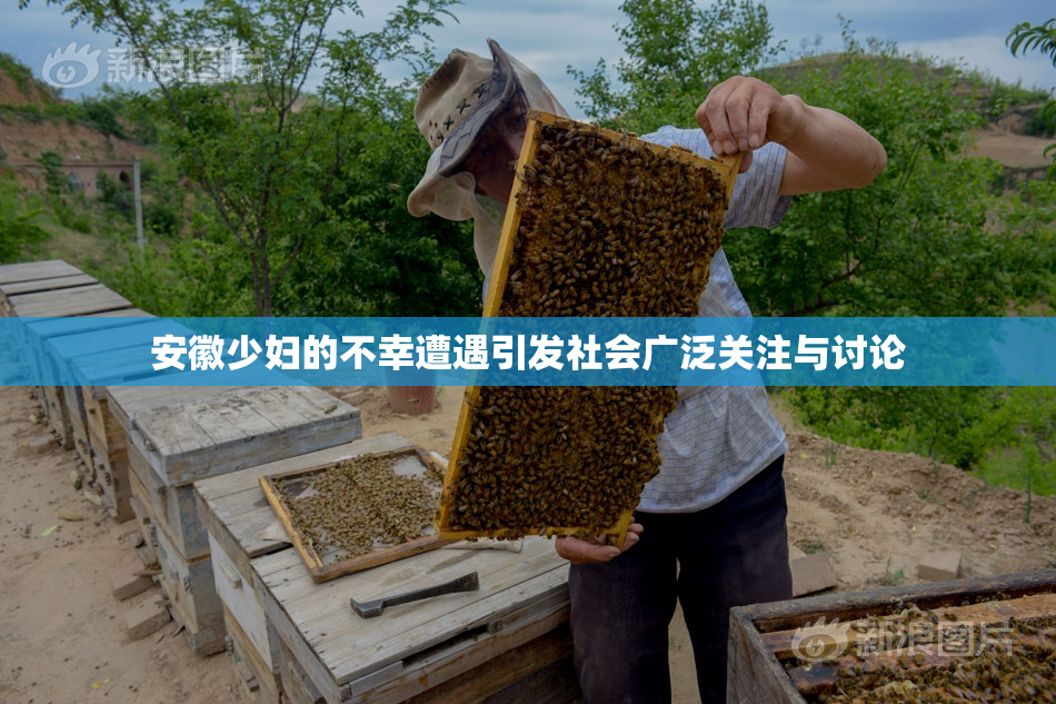 安徽少妇的不幸遭遇引发社会广泛关注与讨论