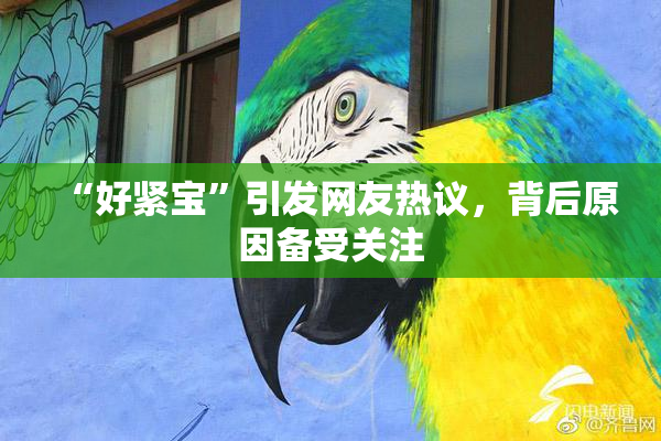 “好紧宝”引发网友热议，背后原因备受关注