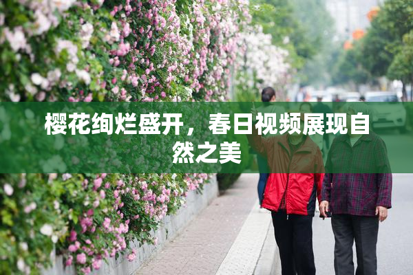 樱花绚烂盛开，春日视频展现自然之美