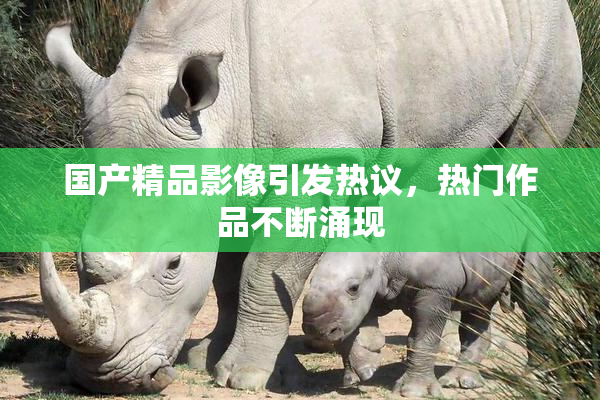 国产精品影像引发热议，热门作品不断涌现