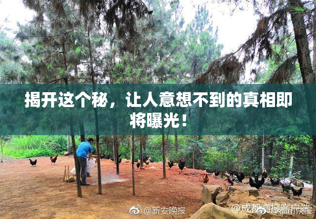 揭开这个秘，让人意想不到的真相即将曝光！