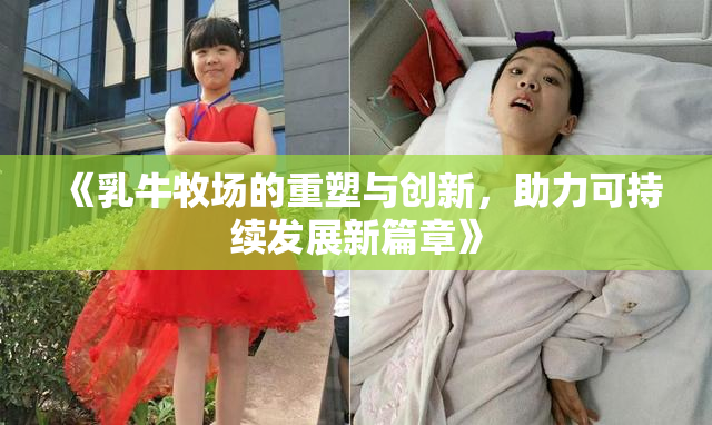 《乳牛牧场的重塑与创新，助力可持续发展新篇章》