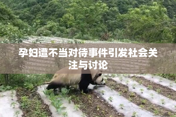 孕妇遭不当对待事件引发社会关注与讨论