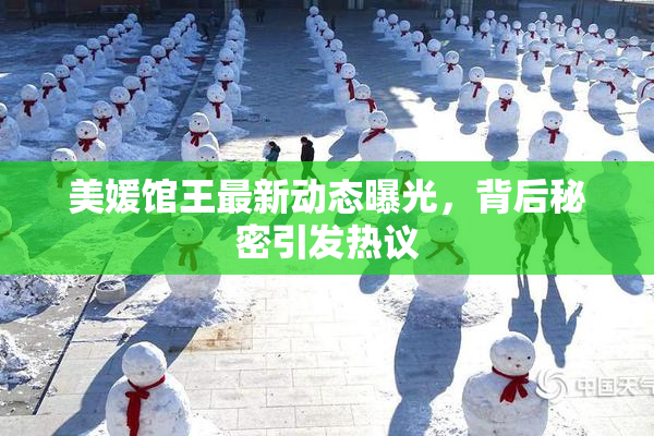 美媛馆王最新动态曝光，背后秘密引发热议
