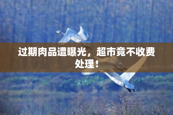 过期肉品遭曝光，超市竟不收费处理！