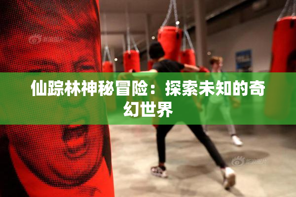 仙踪林神秘冒险：探索未知的奇幻世界