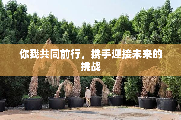 你我共同前行，携手迎接未来的挑战