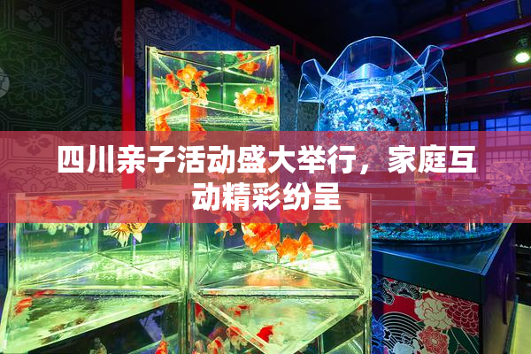 四川亲子活动盛大举行，家庭互动精彩纷呈