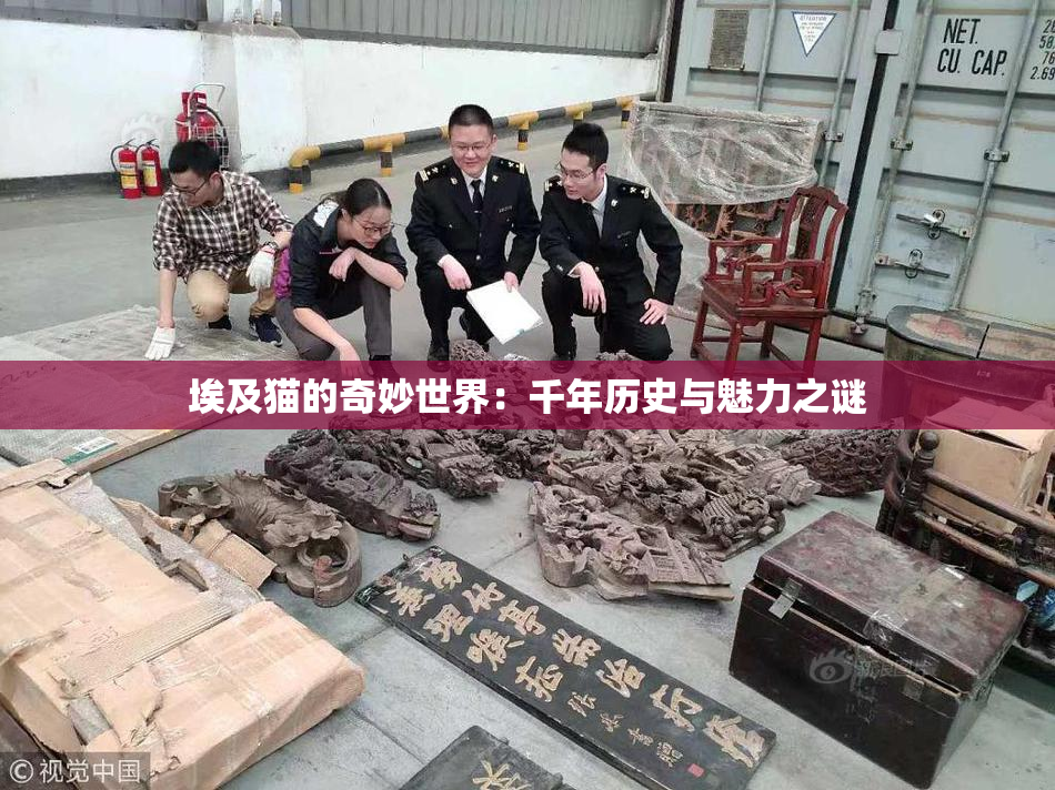 埃及猫的奇妙世界：千年历史与魅力之谜