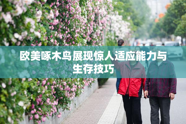 欧美啄木鸟展现惊人适应能力与生存技巧
