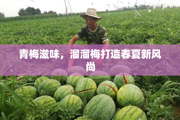 青梅滋味，溜溜梅打造春夏新风尚