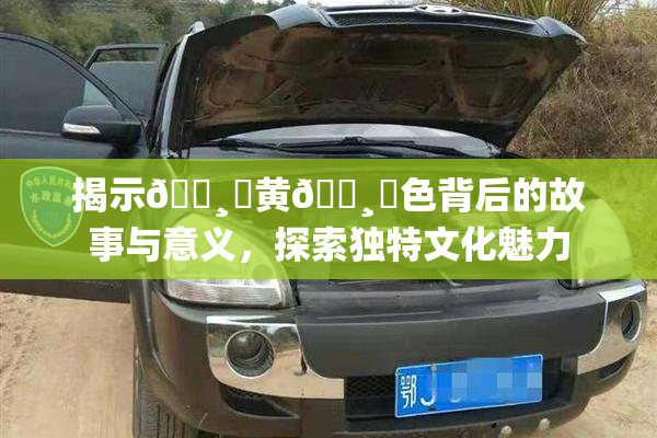 揭示🌸‌黄🌸‌色背后的故事与意义，探索独特文化魅力