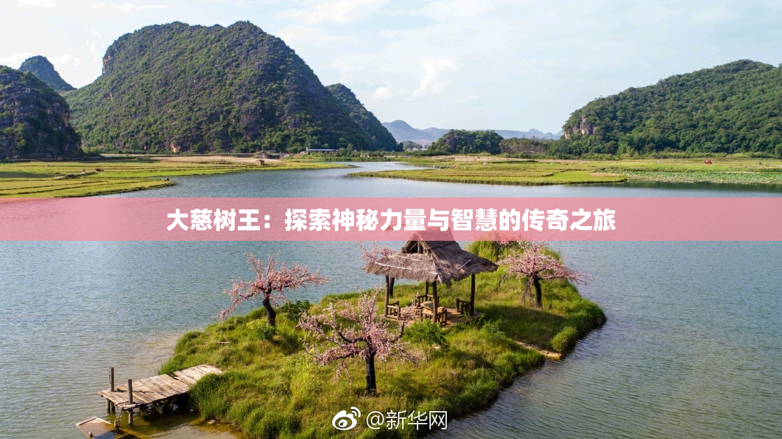 大慈树王：探索神秘力量与智慧的传奇之旅