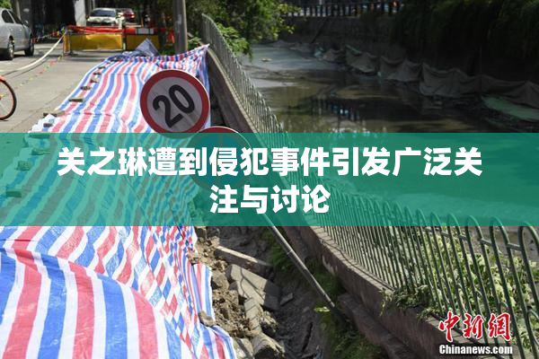 关之琳遭到侵犯事件引发广泛关注与讨论