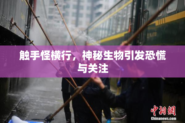 触手怪横行，神秘生物引发恐慌与关注