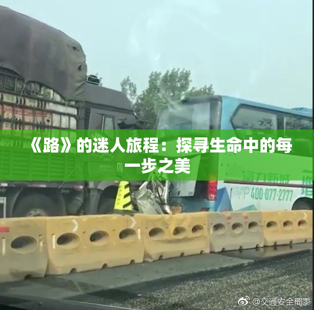 《路》的迷人旅程：探寻生命中的每一步之美