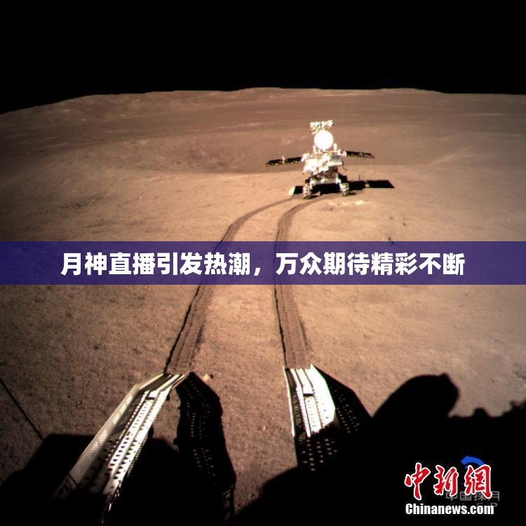 月神直播引发热潮，万众期待精彩不断