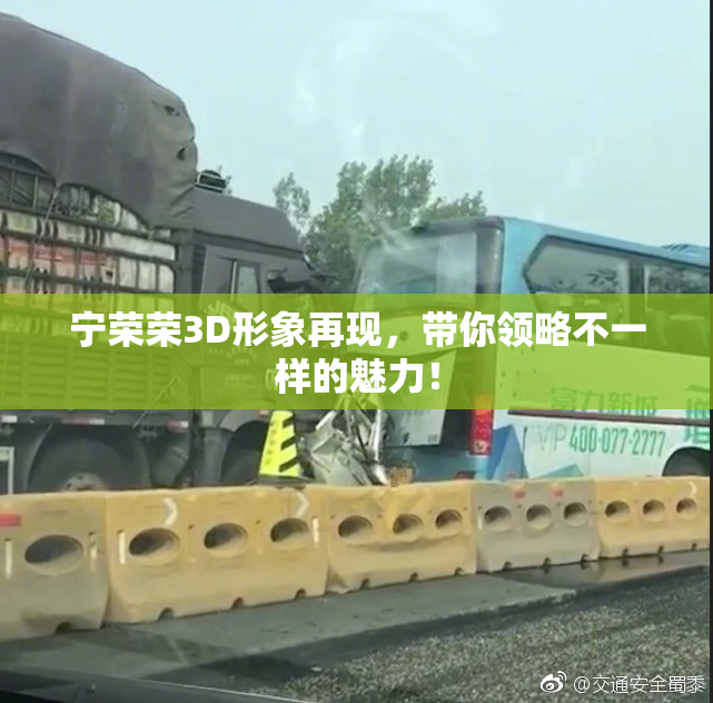 宁荣荣3D形象再现，带你领略不一样的魅力！