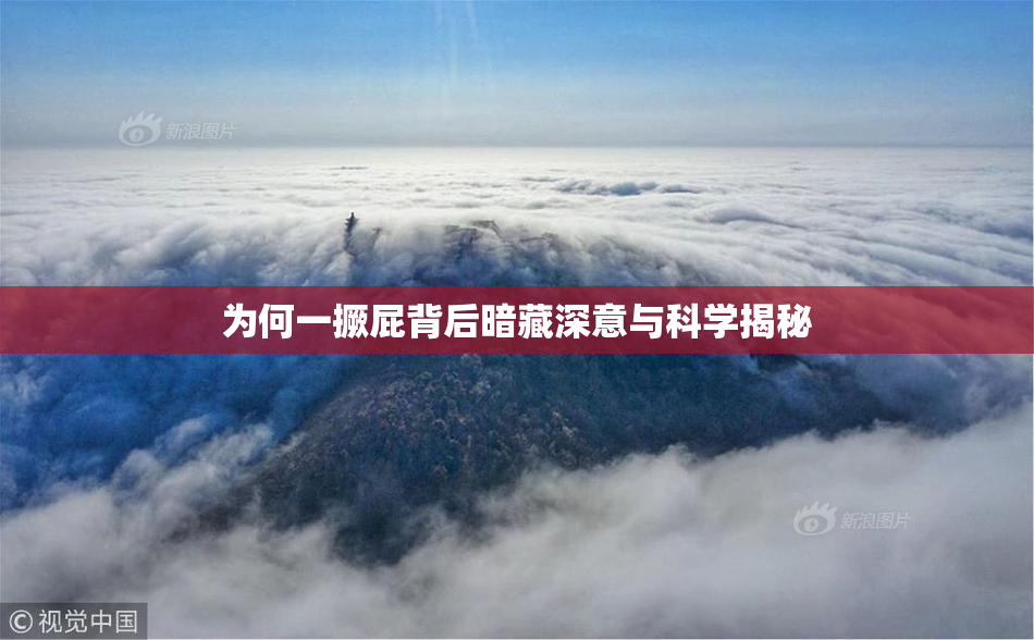 为何一撅屁背后暗藏深意与科学揭秘