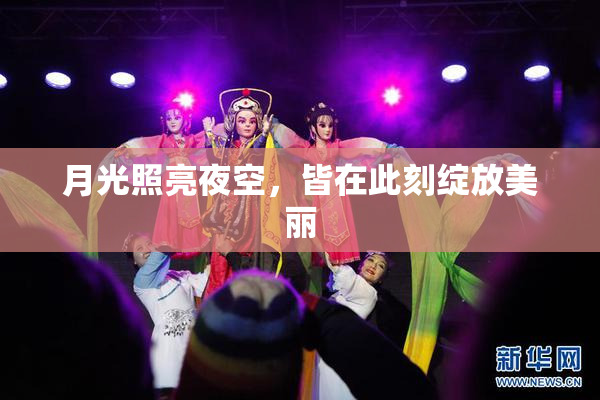 月光照亮夜空，皆在此刻绽放美丽